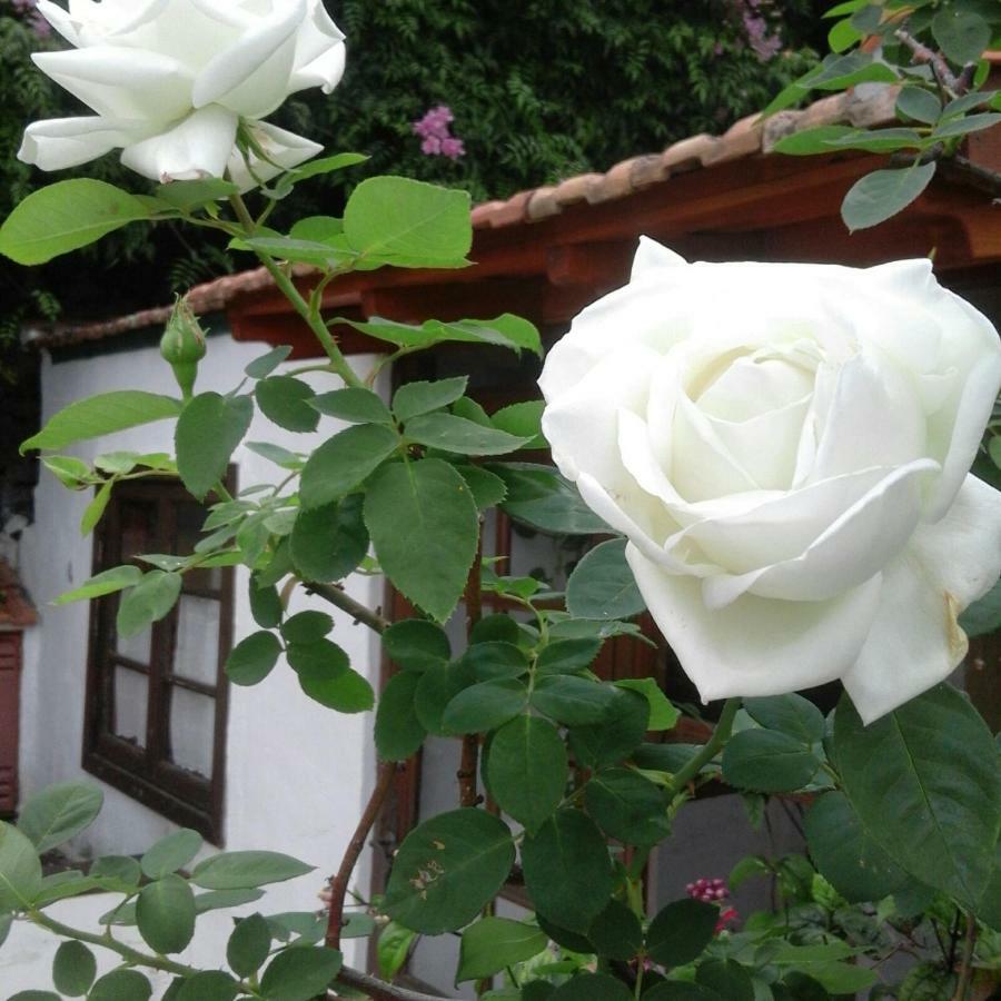 Casa Roberta Villa Monte de Brena Exteriör bild